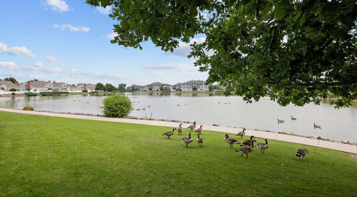 Lake-and-Walkway-4_MLS